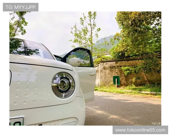 欧博注册中心账号注册流程详细解析及注册过程中常遇到的问题解决方案